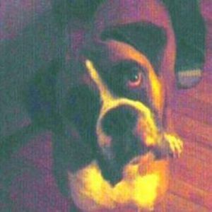 Meet your Posher, Ron